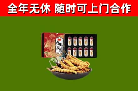 丰台区回收冬虫夏草价格