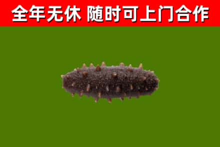 丰台区烟酒回收干海参.jpg